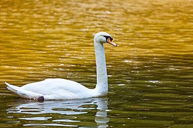 《第一后裔》发售日预热预告 6月8日正式公布